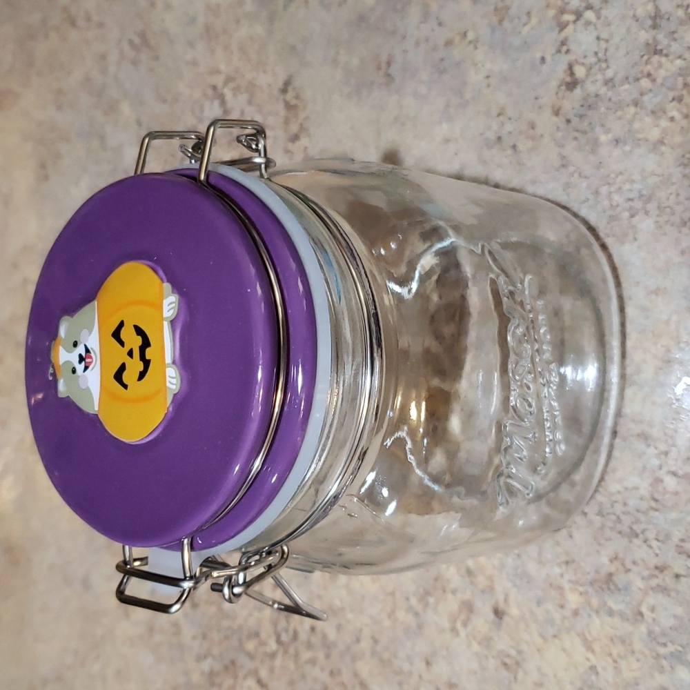 Corgi pumpkin glass Mason jar with ceramic lid NWOT